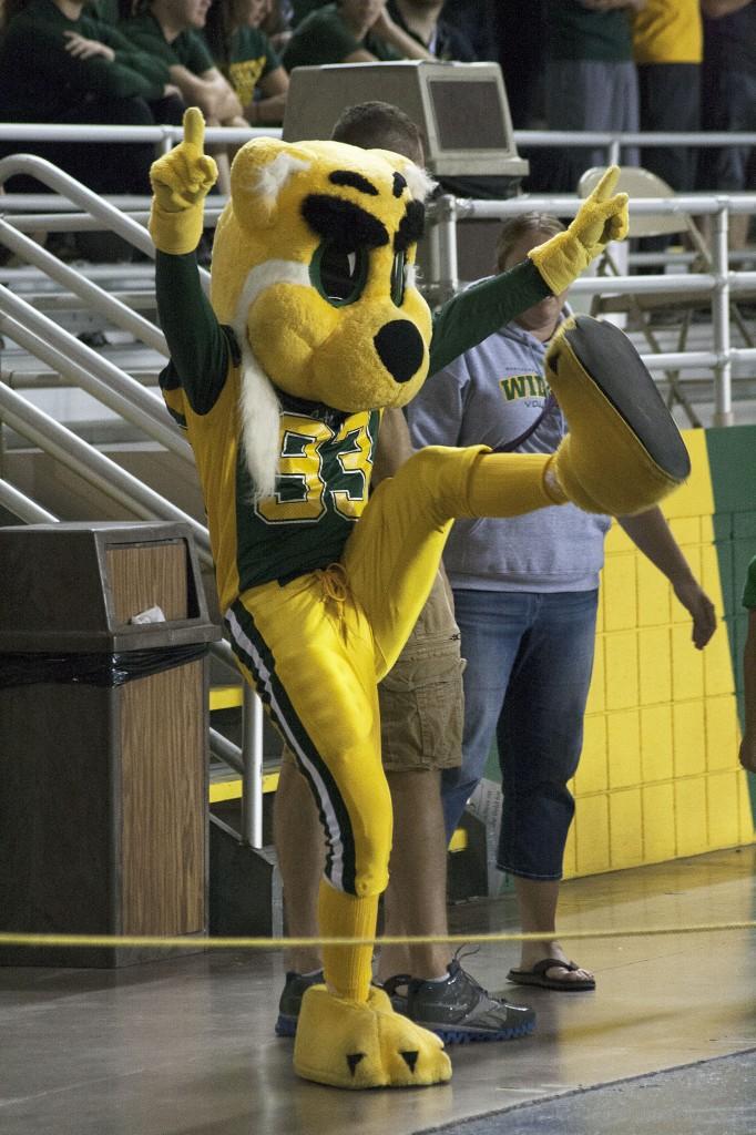 Wildlcat Willy has been cheering on his fellow Cats and marching in NMU parades for over 30 years. Five secret students bring Willy to life at events. (Photo: Anthony Viola)