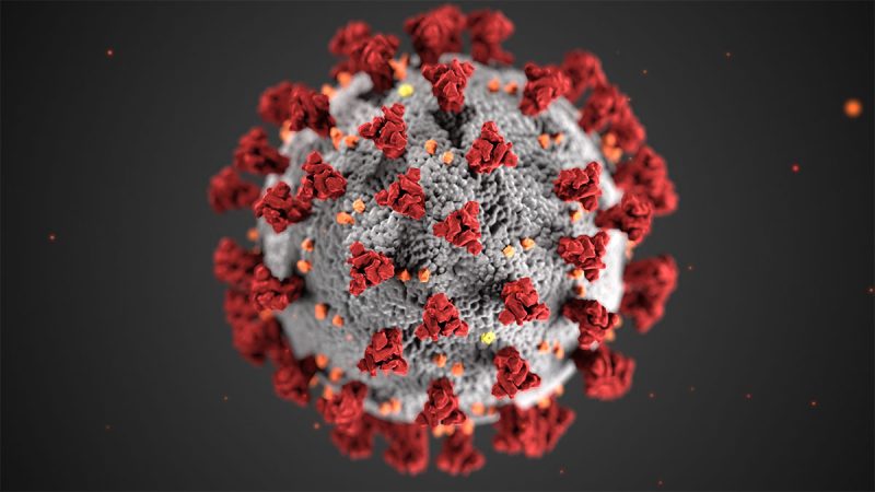 Picture+of+COVID-19+virus