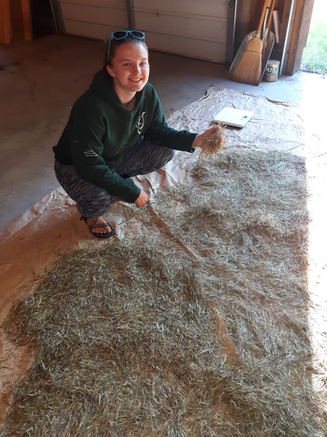 Erin Matula posing over harvested rice