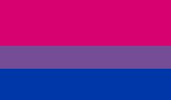 bisexual flag