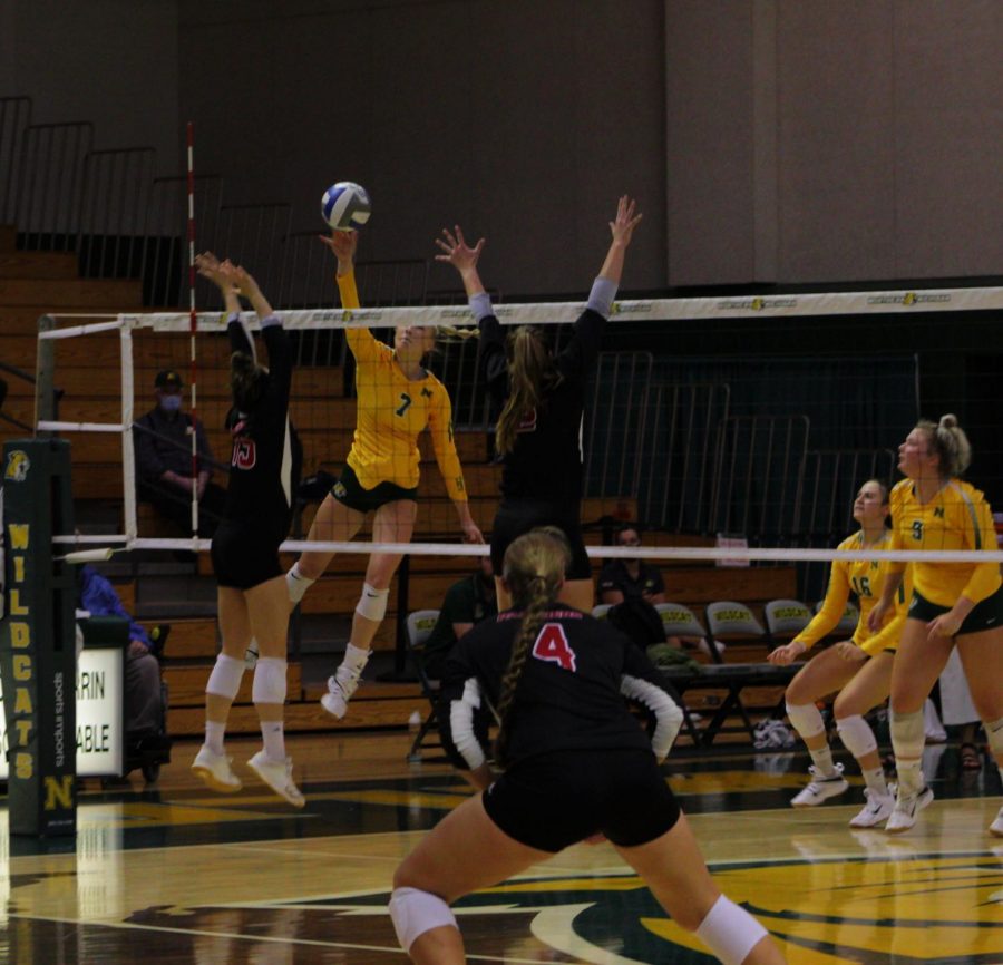 ROARING RESPONSE—Freshman middle blocker Olivia Webber attempts a spike against Davenport on Sunday, Sept. 19. NMU looks for a response this weekend on the road against Northwood and Lake Superior State. Brendan Sullivan/NW
