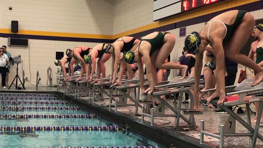 A FUN ENDING—NMU swimmers look ready for an event earlier in the season. Both teams had good seasons, and finished the year with a team scrimmage. Photo courtesy of NMU Athletics