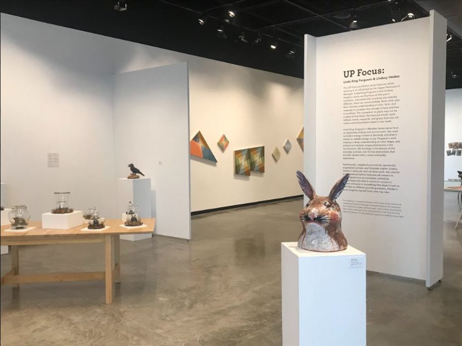 NEW EXHIBIT - Free to the public, the DeVos Art Museum is currently host to works by Lindsey Heiden (foreground) and Linda King Ferguson (background). The two artists take inspiration from the Upper Peninsulas landscape.