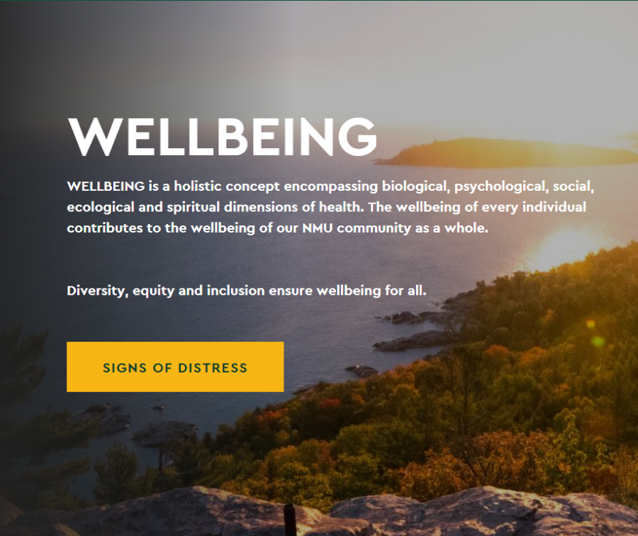 Editorial — Critique of NMU’s Wellbeing website