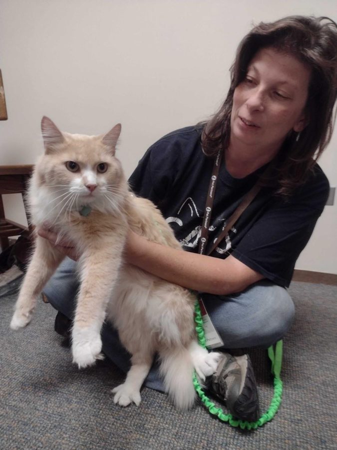 WILDPUPS? WILDCAT! - Butterscotch (left), the first cat to join Wildpups, the animal assisted therapy program on campus debuted with his handler, Diana Perry (right). 