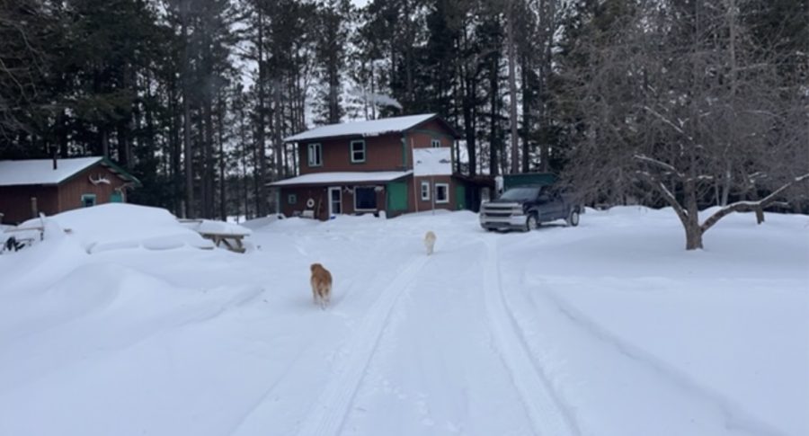SECOND HOME — My uncle’s camp sits quietly at the end of a clearing as my dogs race each other to the door. From sunny days spent on the lake to late night card games, cross-country skiing expenditures to bean bag tournaments, there was always fun to be had at camp.