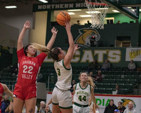 NEXT TIME - NMU fell short to SVST in the first round of the GLIAC tournament. The Cats were 1-2 against the Cardinals this season.