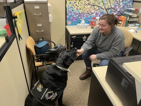 NMU's Pre-Veterinary Medicine Club hosts bake sale – The North Wind