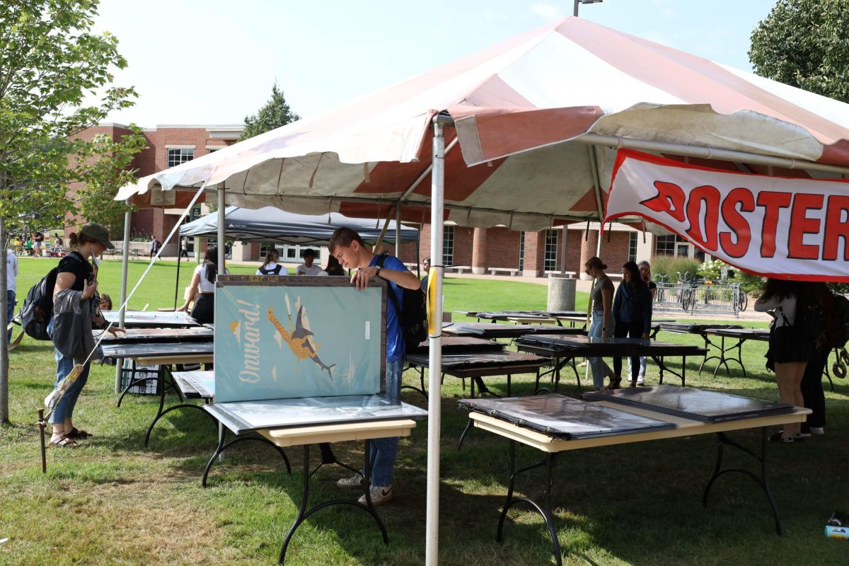 DECORATION — Students flip through numerous albums of posters on multiple tables set up on the Academic Mall. 