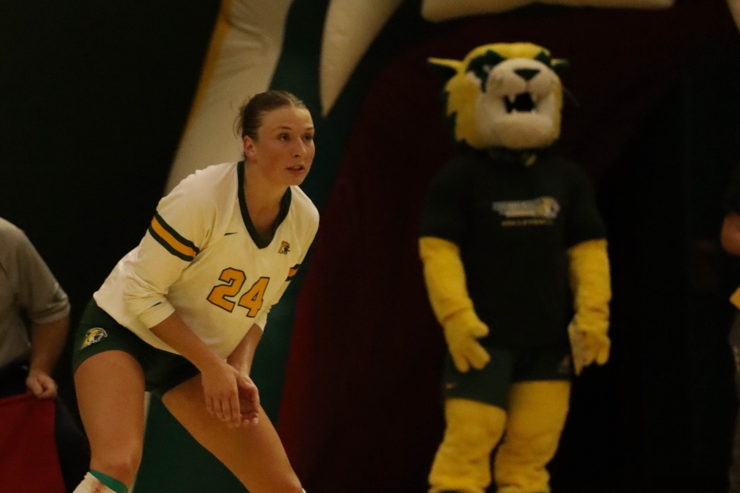Volleyball opens season in Sunshine State tournament