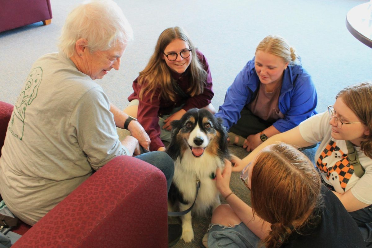 Scratches, furry pets and less stress with the NMU Wildpups