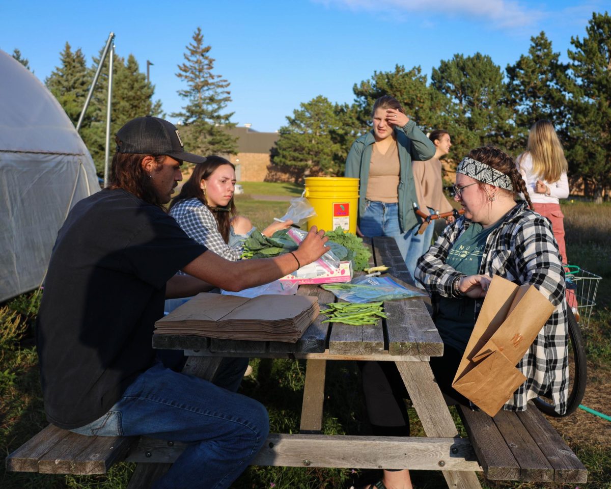 After harvesting, hoop house student organization members gather outside to package up the excess produce to take home and donate to the NMU Food Pantry.