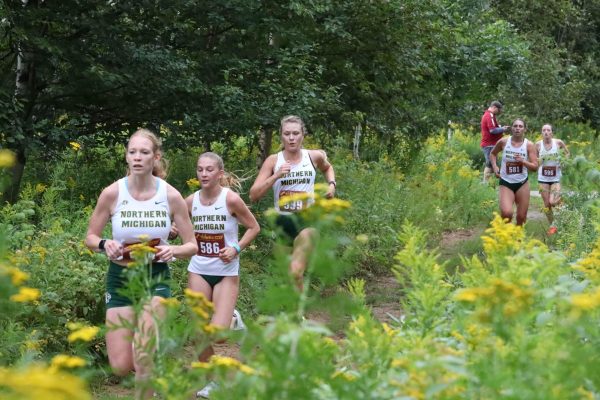 RACE TO THE FINISH — Cross country runners make their way down a trail during a race. 