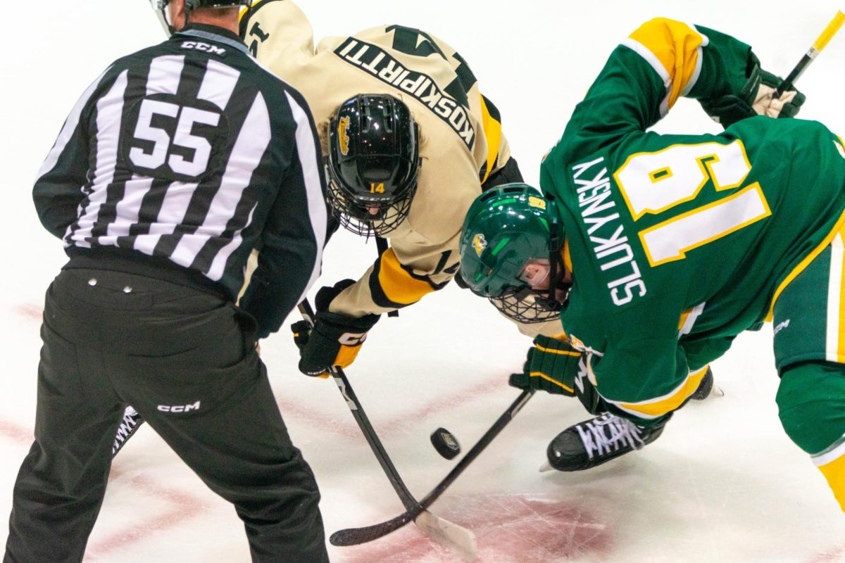 Home victories all around as Wildcat Husky split weekend hockey matchup wraps up