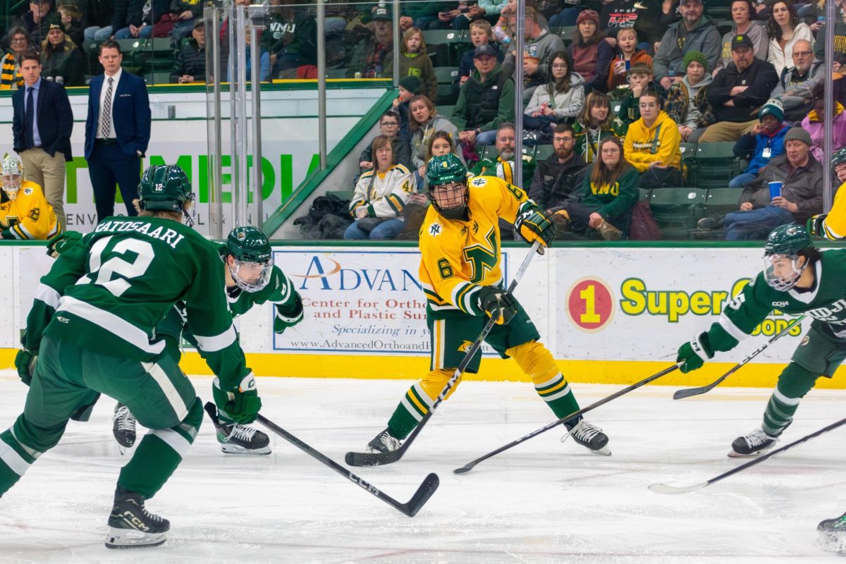 WINDING DOWN — Cats drop two weekend games to the Bemidji State Beavers as the end of the regular season nears. 