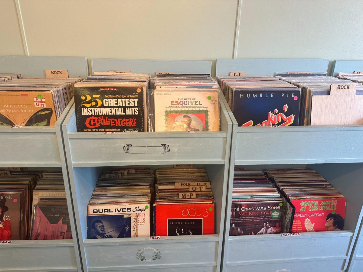 RECORDS ON RECORDS — Teichman shows a variety of records on display at the Vinyl Emporium. With 10,000 records being brought in from downstate, there is something for everyone at the record show. Photo courtesy of Jon Teichman