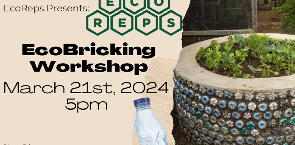 EcoReps+to+host+EcoBricking+Workshop