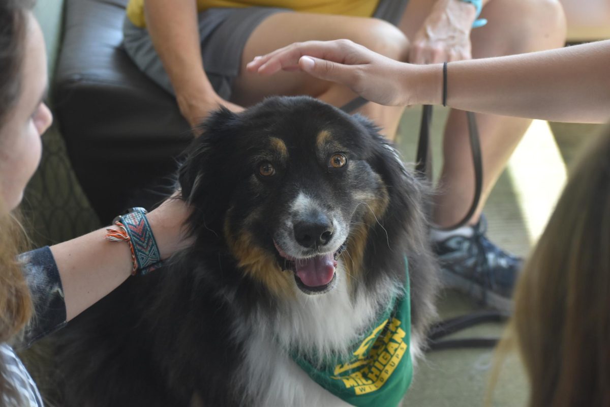 Wildpups greet students with wagging tails and big smiles