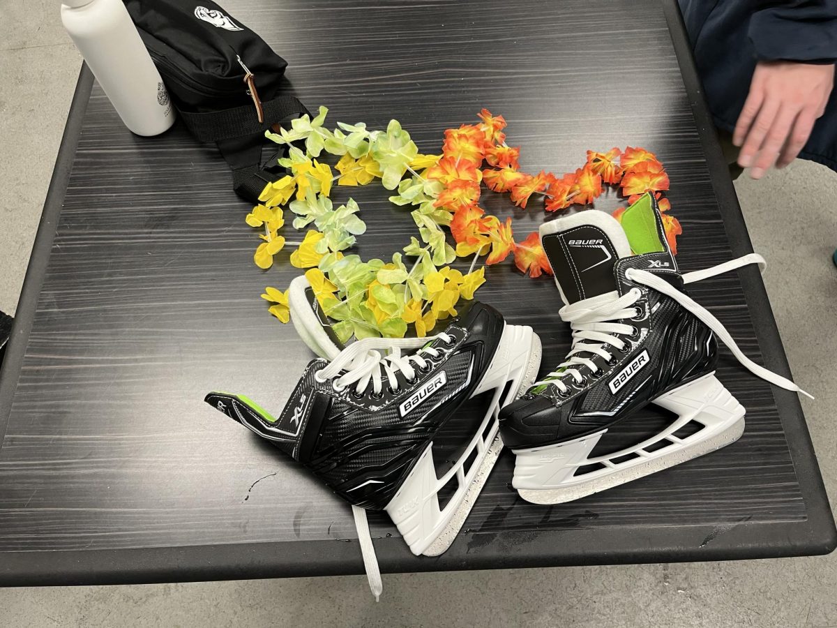 Tacky tourist vibes take over Lakeview Arena with themed open skate