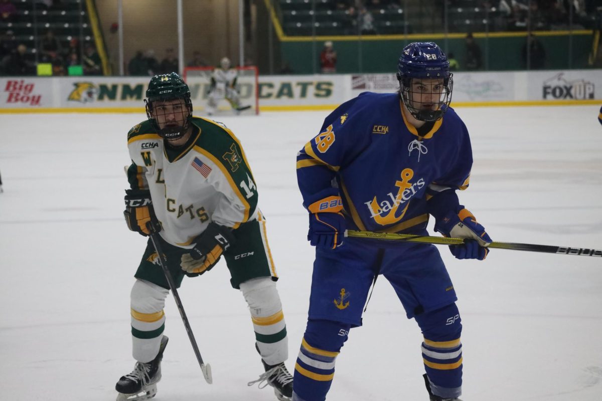 Hockey ends home weekend in tough losses