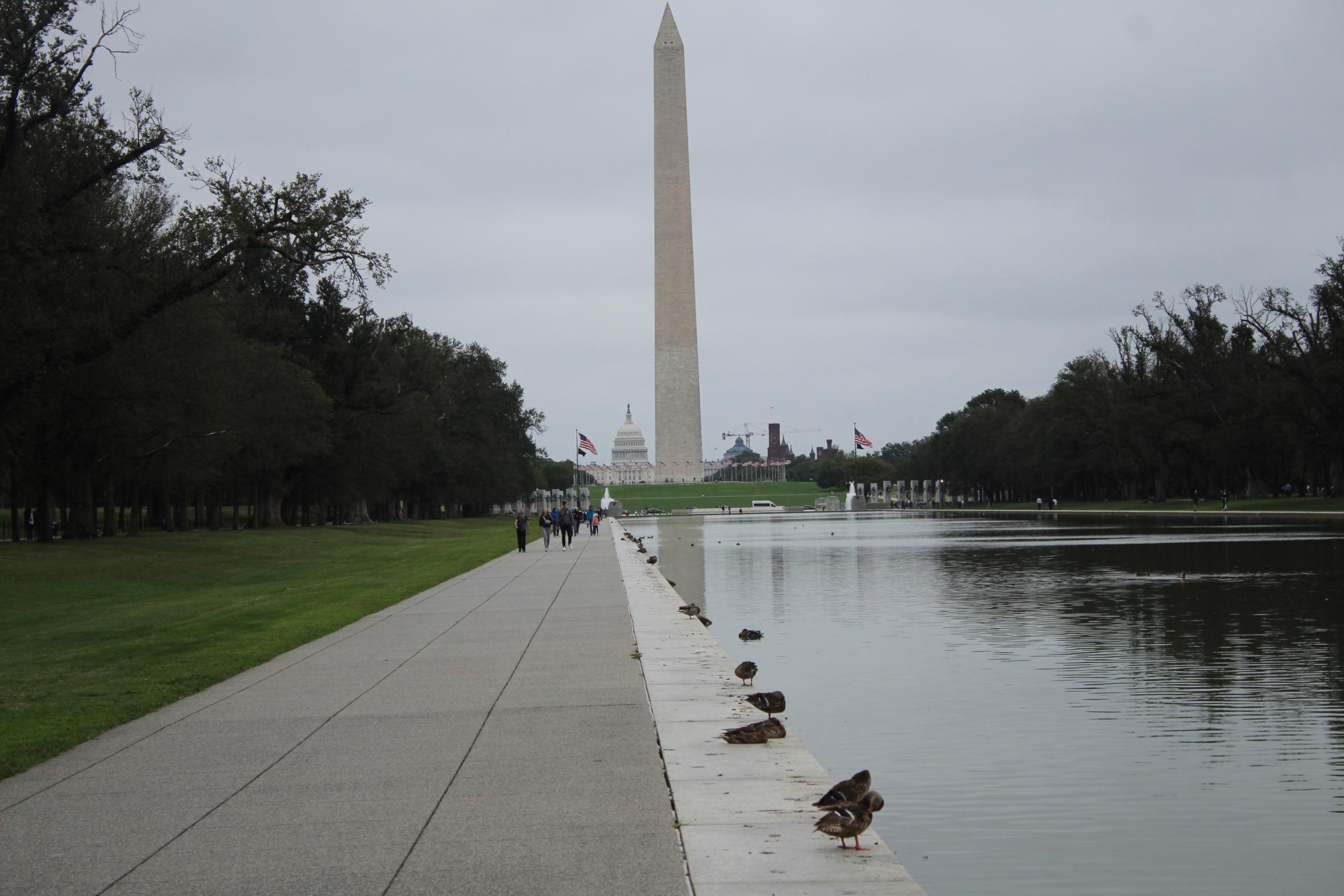The Washington Monument standing tall over the reflecting pool as the Capital Building looms in the distance. 