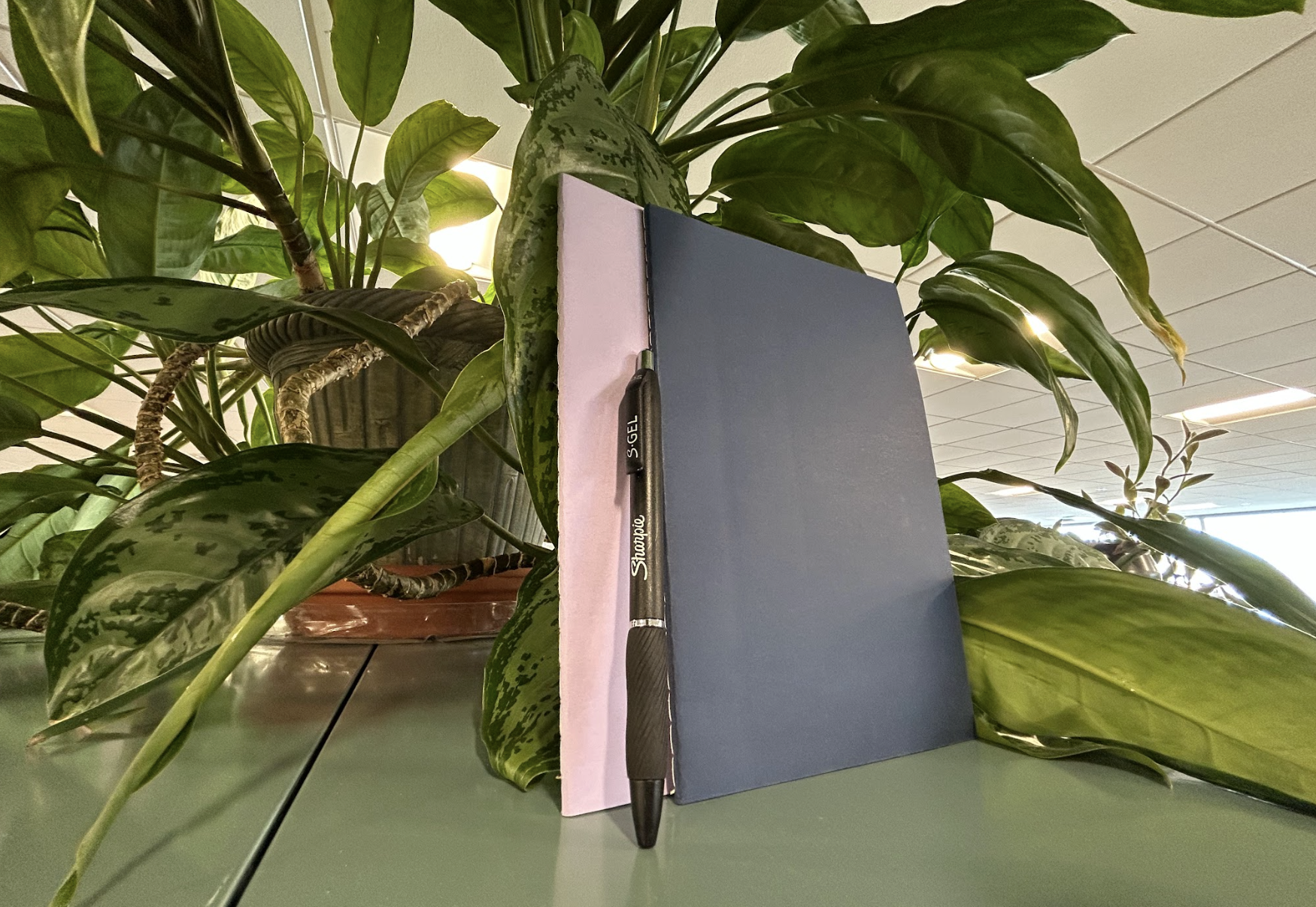 PEN TO PAPER - Students learn about the benefits of journaling.